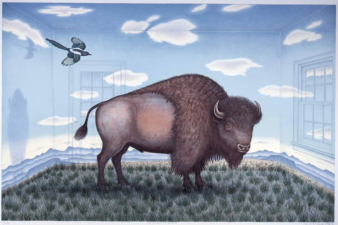 Frame of Mind - Wholesale Art Print - No Room to Roam - AP