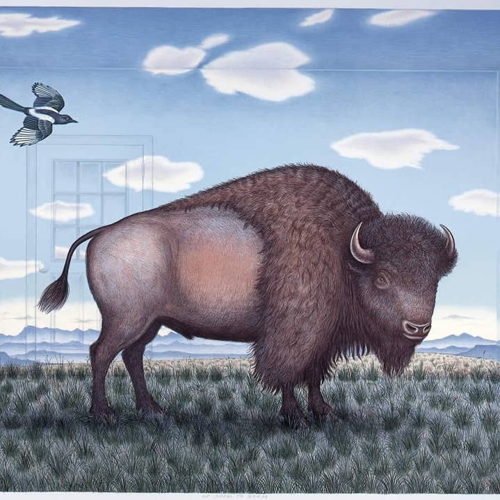 Frame of Mind - Wholesale Art Print - No Room to Roam - AP0