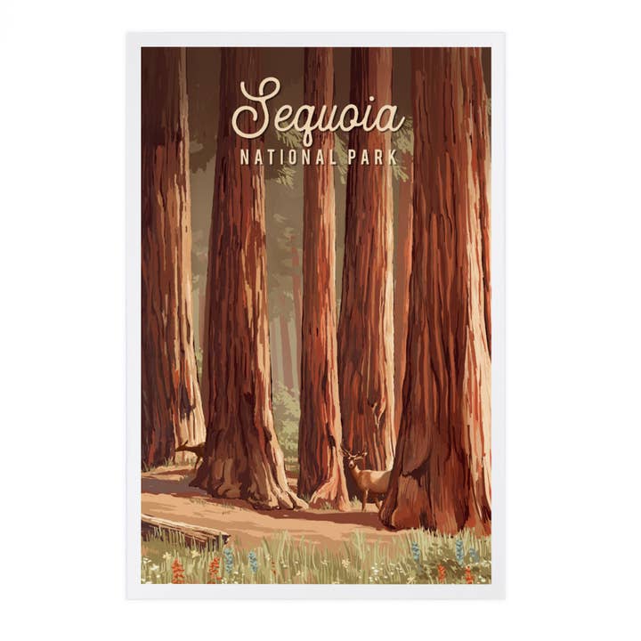 Lantern Press - Wholesale Postcard - PREMIUM POSTCARDS Sequoia National Park, California