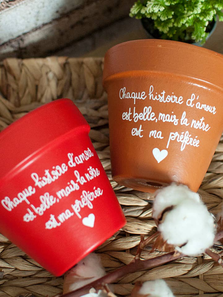 Terracotta flower pot "Love Story" for wholesale by Happypots.fr