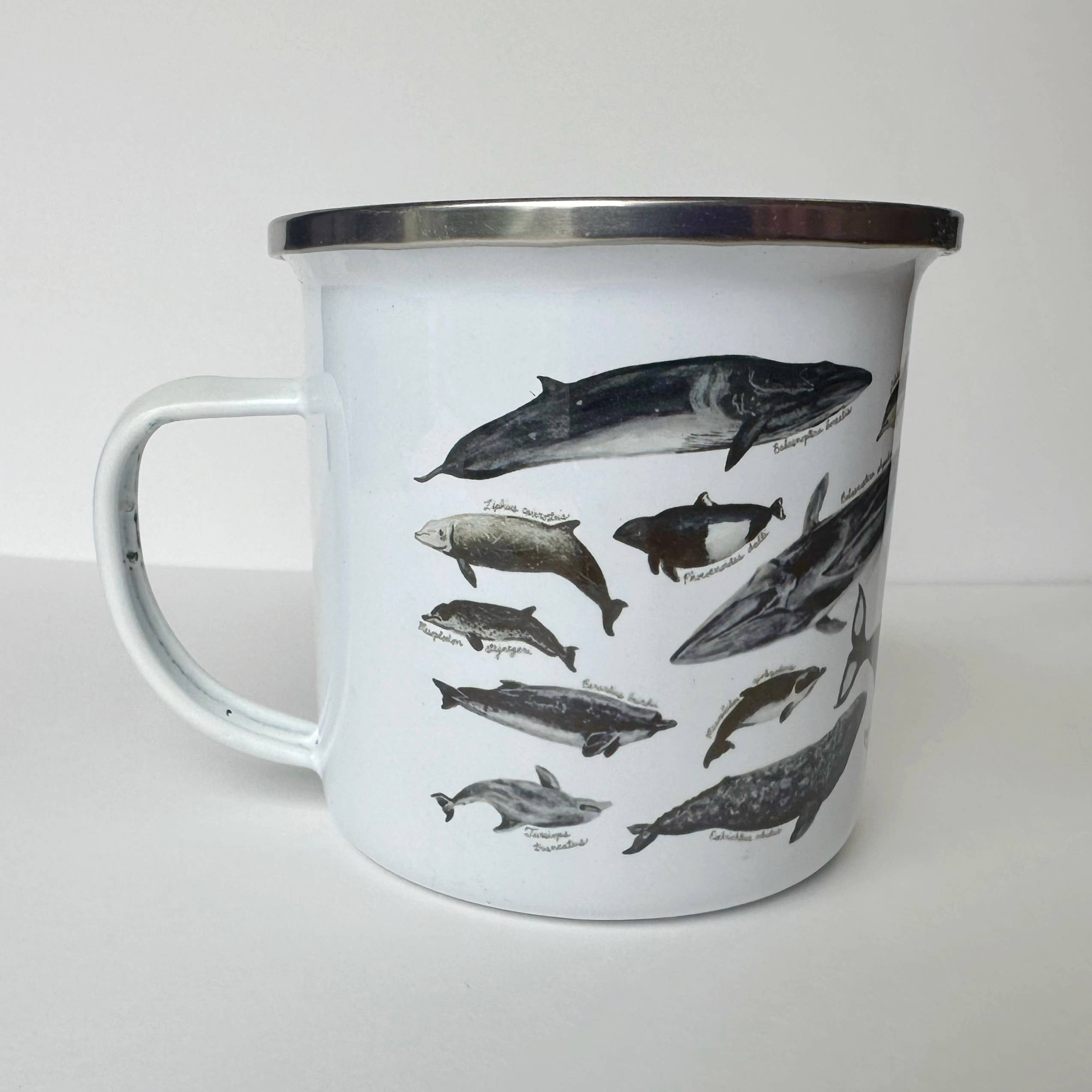 Brush & Bark - Wholesale Coffee Mug - Whales and Dolphins Camping Mug1
