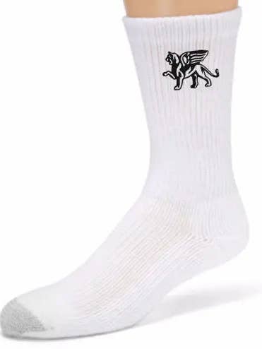 Calzini Pro Team Lion Comfort da uomo per la vendita all'ingrosso da parte di KOURTLY by Loriet Sports