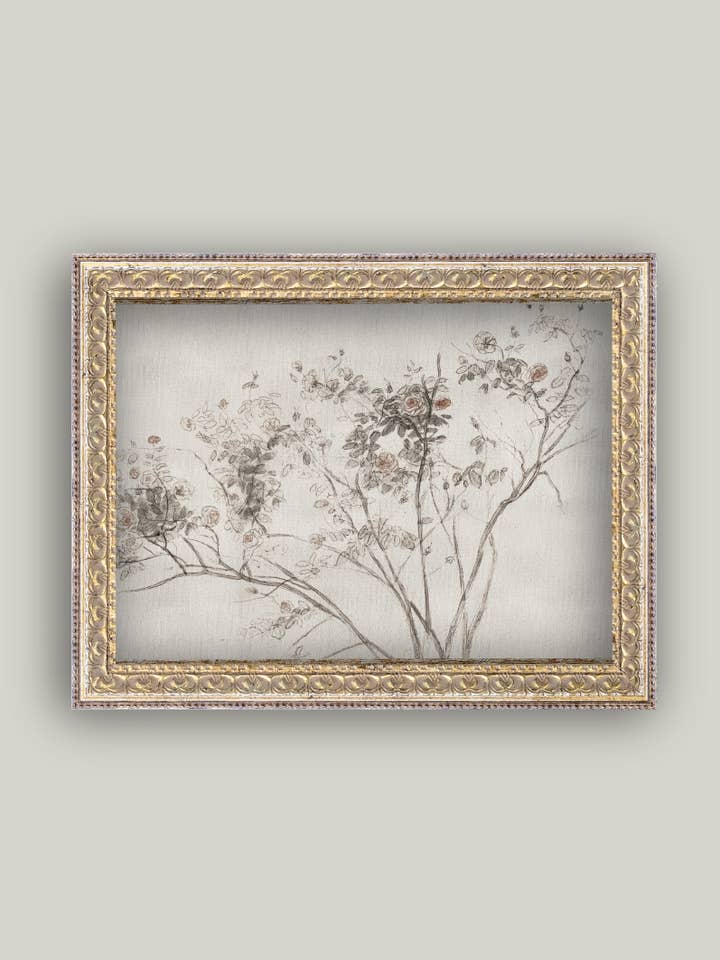 Art ancien encadré Rose Bush pour la vente par Petal Lane Home