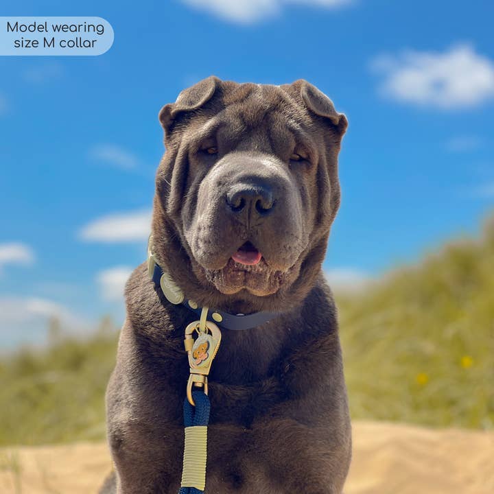 Pawsome Paws - Wholesale Pet Collar - Dog - Disney© Waterproof Collar - Simba4