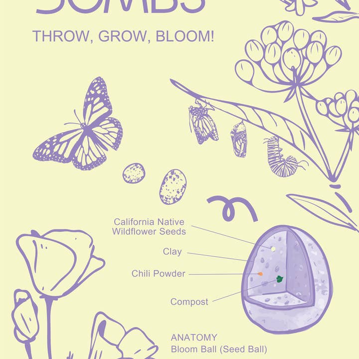 Bloom Bombs - Wholesale Plant seeds - Pollinator Blend CA Wildflower Mix-SEEDS ONLY 1oz.3