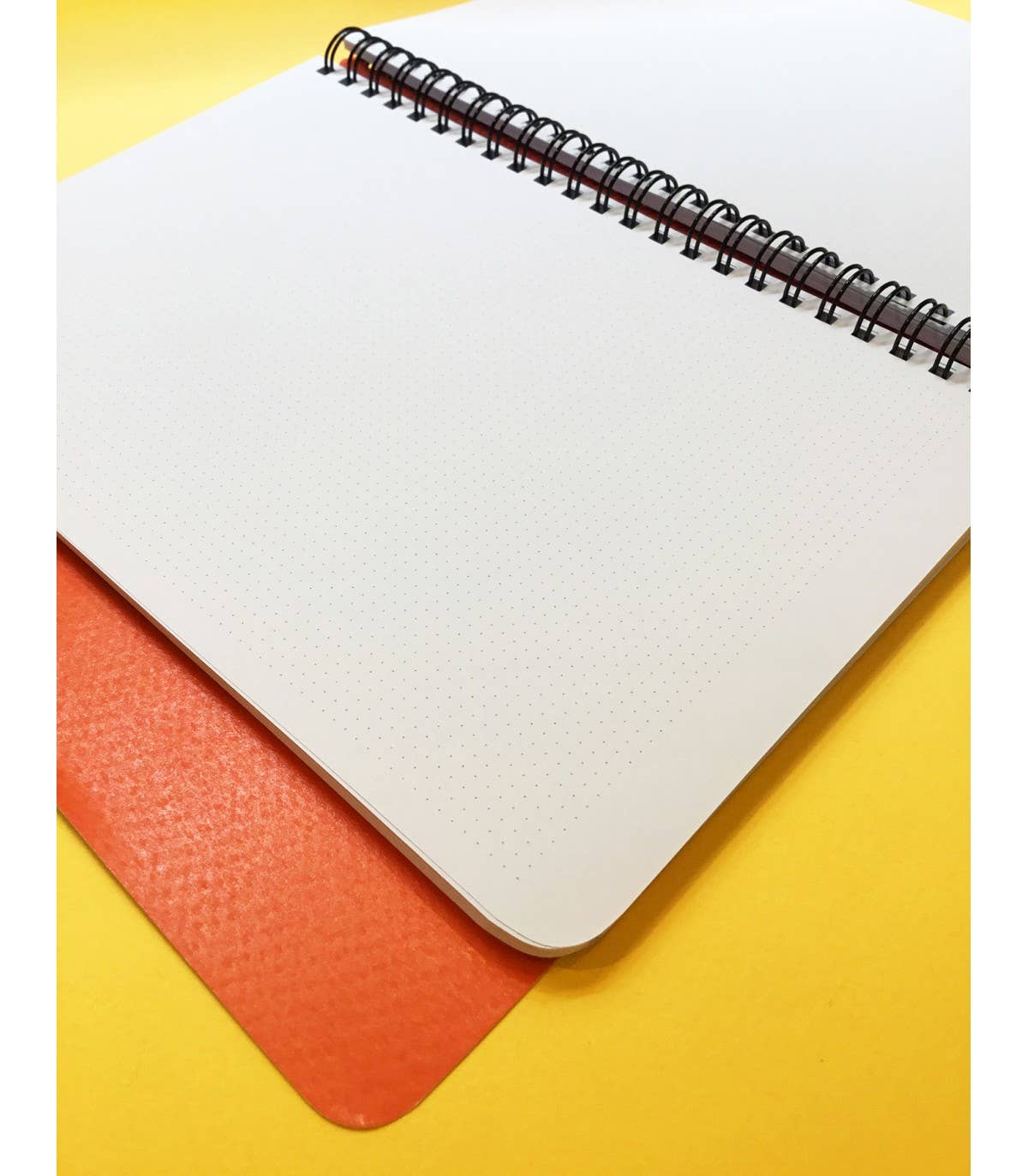 Papier Merveille - Wholesale Notebook - A5 spiral notebook - Zigouigoui5