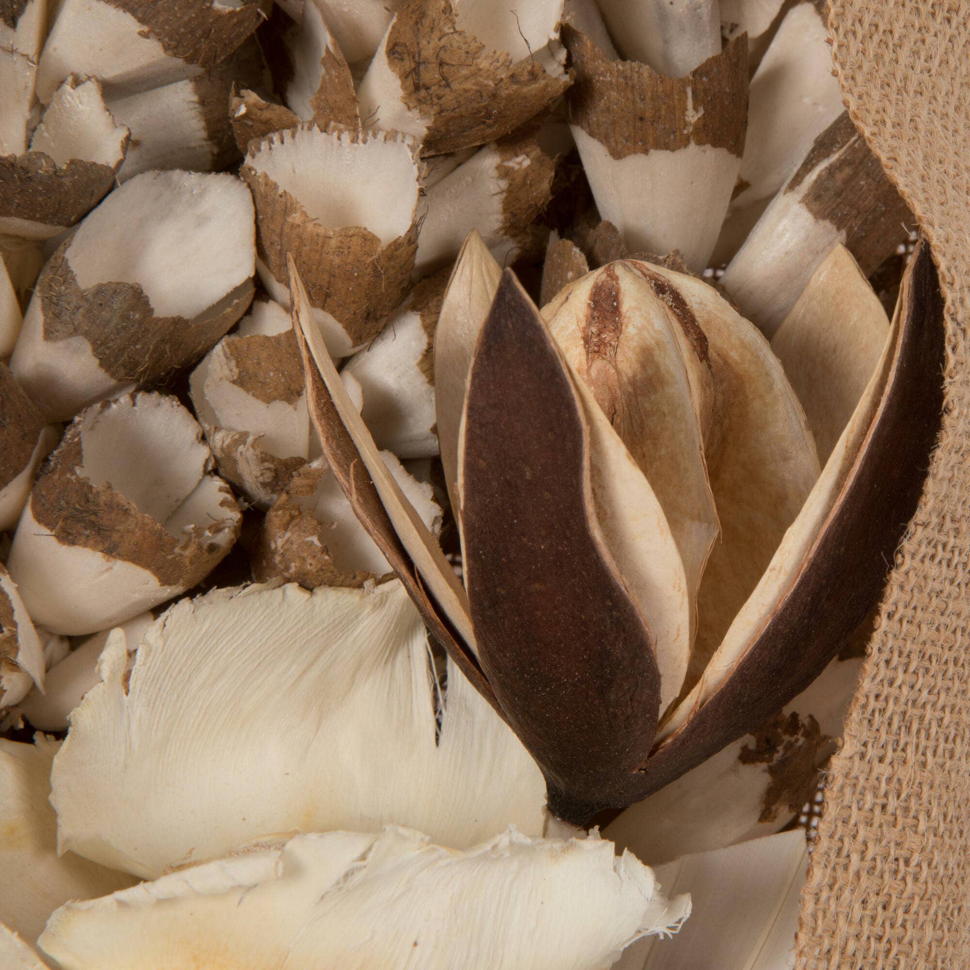 Vickerman 19" White Wash Palm Assorted Bouquet for wholesale on Faire3