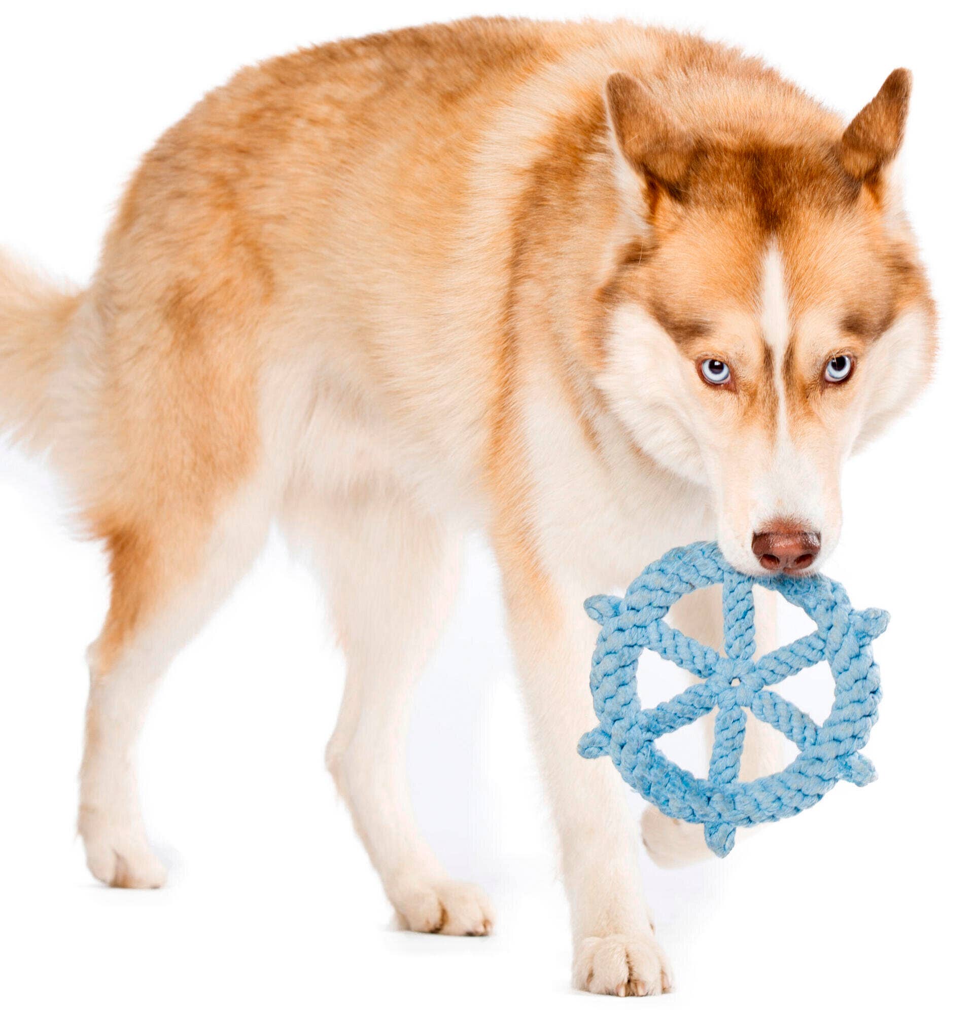 LABONI - Volentis GmbH - Wholesale Pet Rope Toy - Dog - SKIPPER – A Fresh Breeze of Fun9