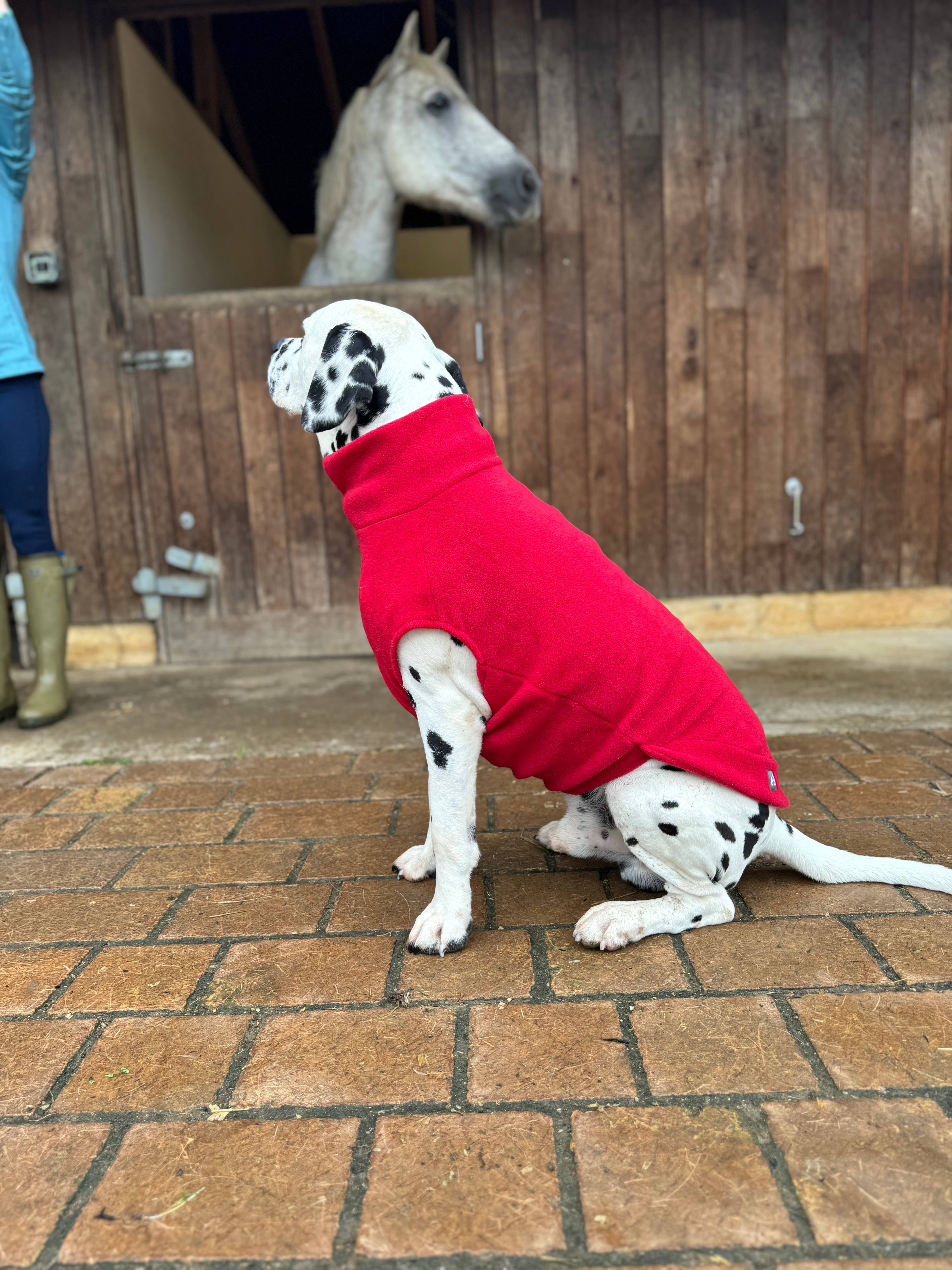 Doghouse – wholesale Tröja - Hund – Hundtröja i fleece för stora raser2