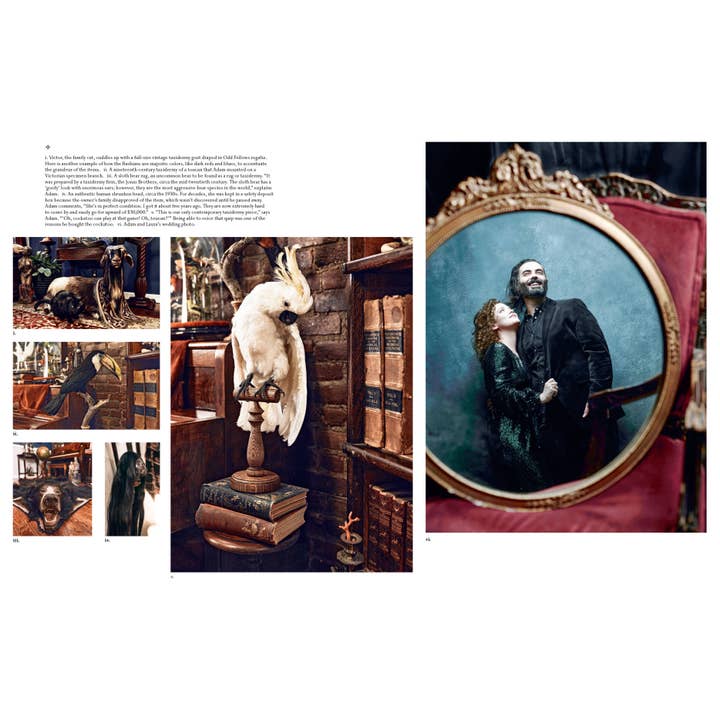 Hachette Book Group - Wholesale Home & Garden - The Art of Gothic Living: Dark Decor for the Modern Macabre7