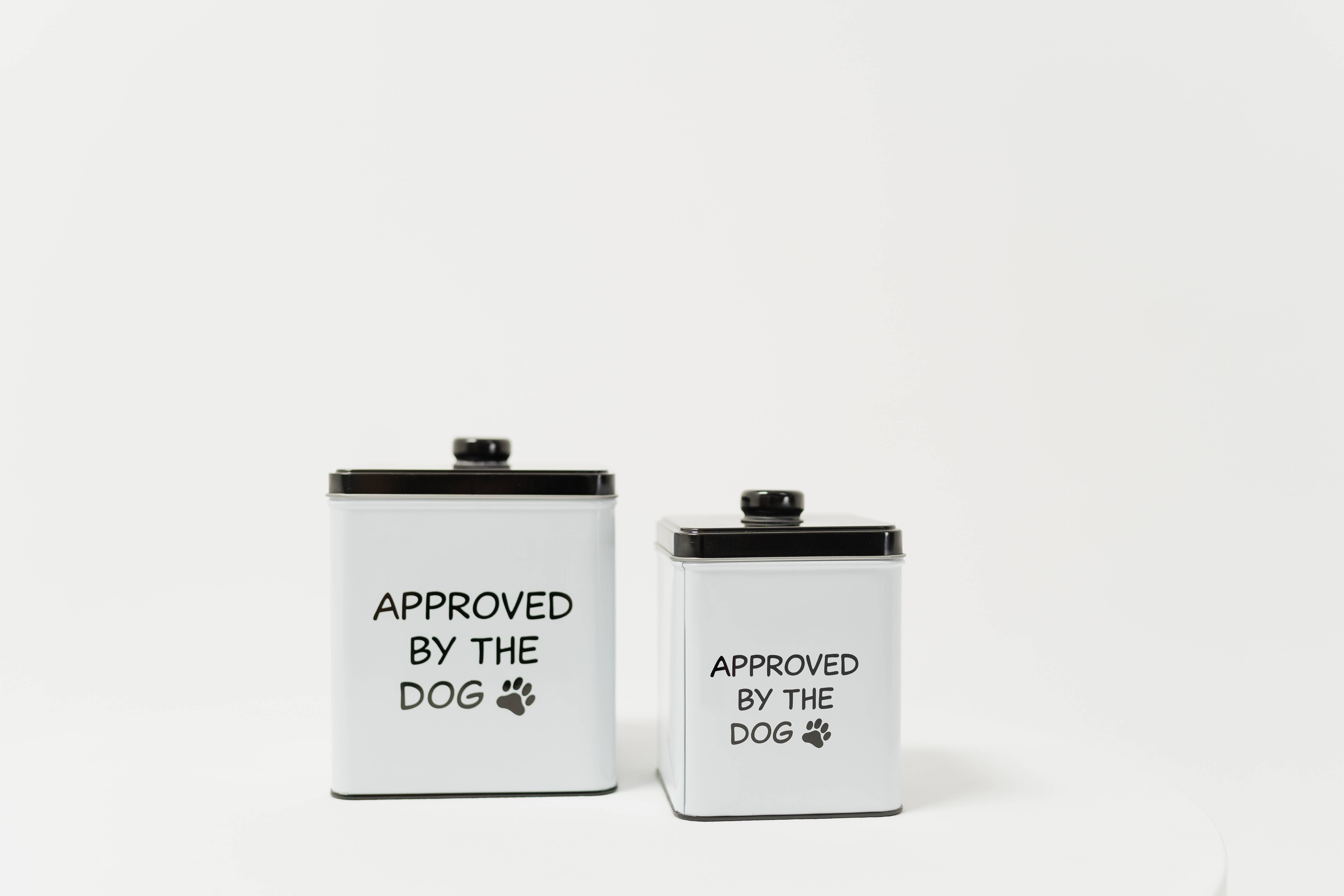 DAHO - Vente Bocal à friandises – chien - Ensemble de 2 boîtes carrées en métal pour friandises pour chiens9