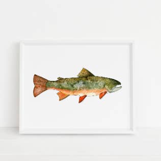 Brook Trout Art Print for wholesale by Jennie Kilcup Watercolors