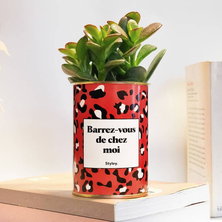 Barrez-Vous De Chez Moi - Cactus and other Purchase Wholesale cepillos barrer. Free Returns & Net 60 Terms on Faire trending on Faire.