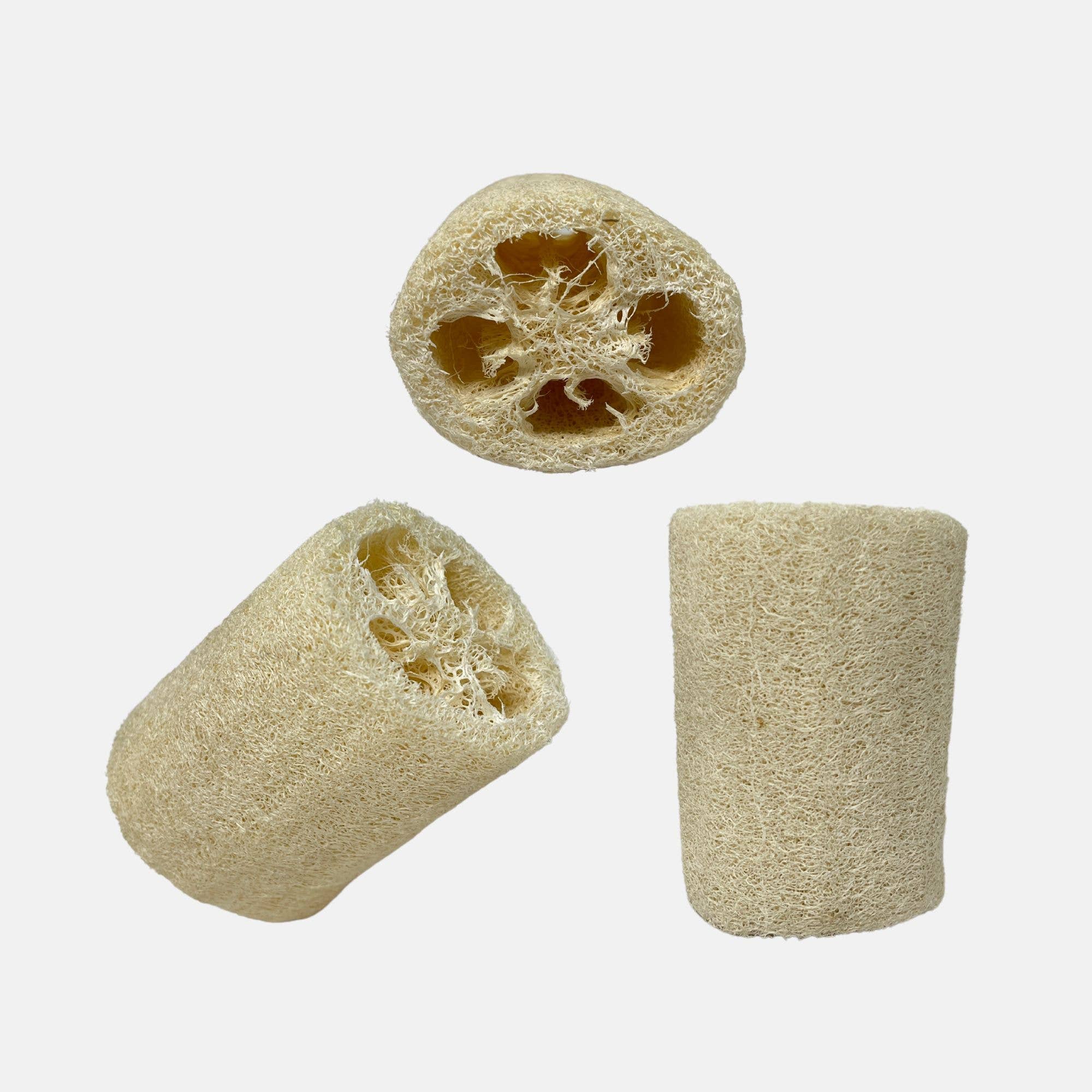 Rucci Professional – wholesale Loofah – RL216-4 | 10 cm naturlig loofahsponge – vegansk skrubbsvamp0