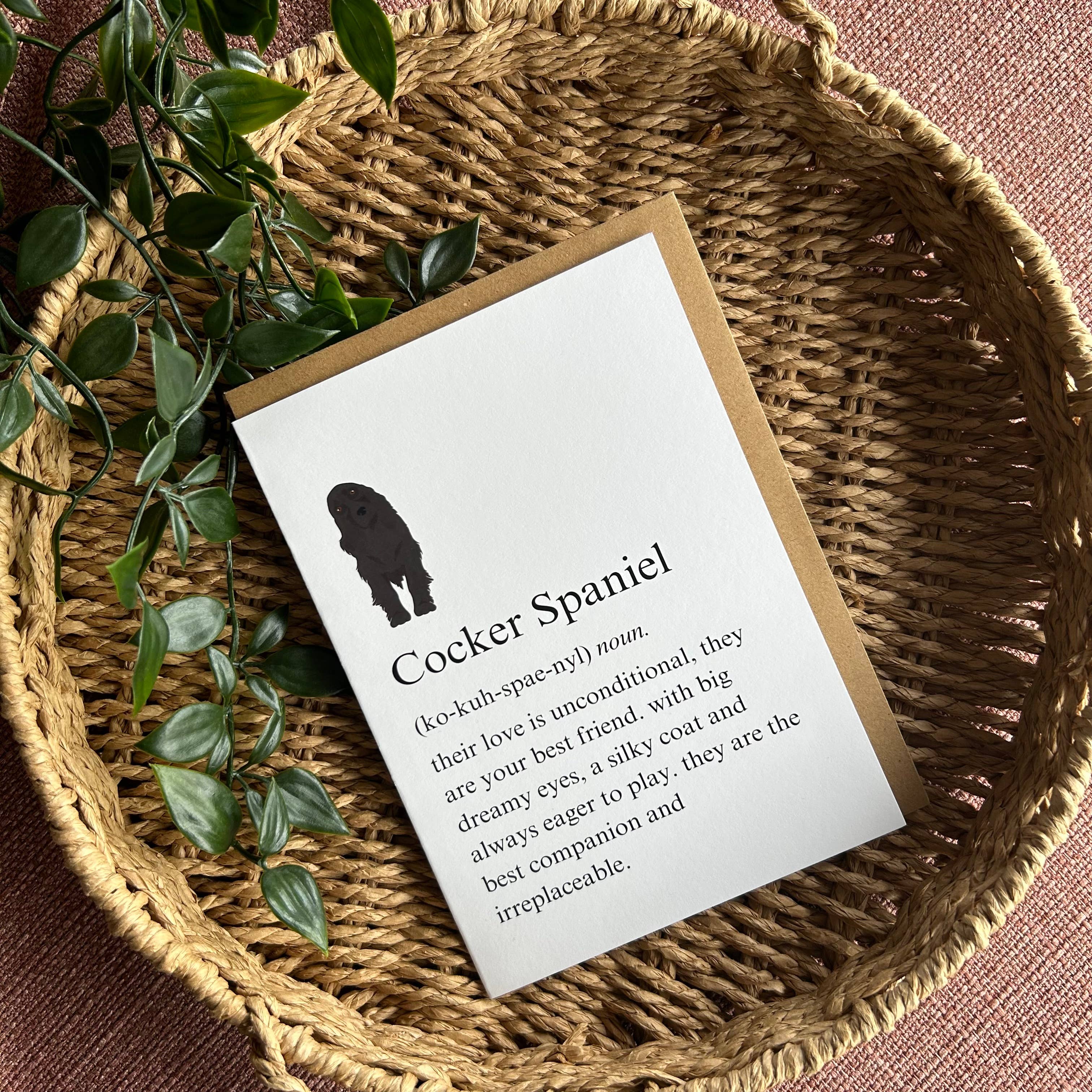 Swale Studios – wholesale Everyday greeting card – Cocker Spaniel Definition Greeting Card0