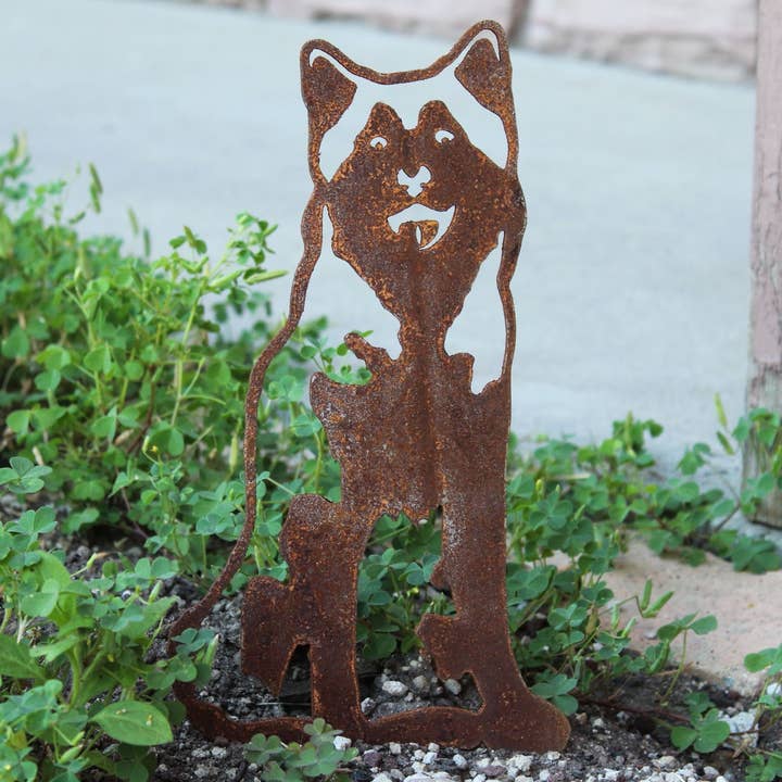 Malamute de l'Alaska pour la vente par My Metal Rescue