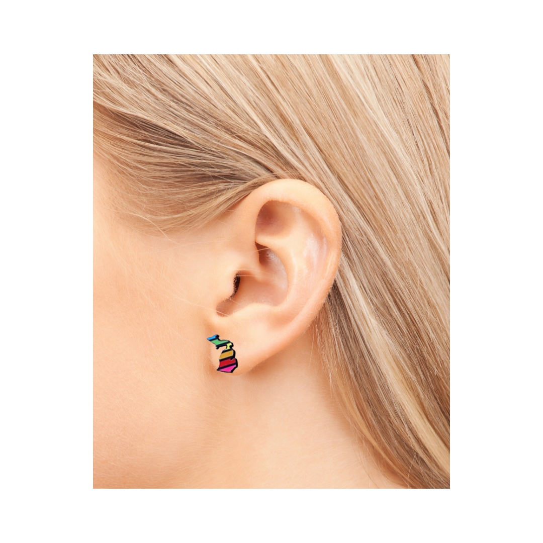 Michigan Proud Gifts - Wholesale Stud/Post Earrings - Michigan Shaped Studs 500+ Designs6