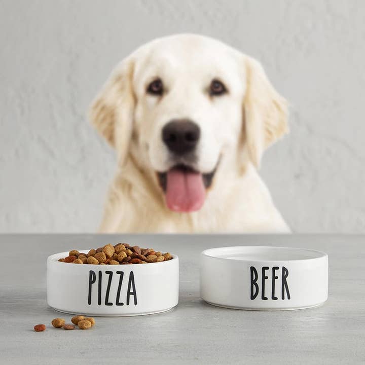 47th & Main (Creative Brands) - Wholesale Pet Bowl - Cat/Dog - Ceramic Pet Dish - Beer1