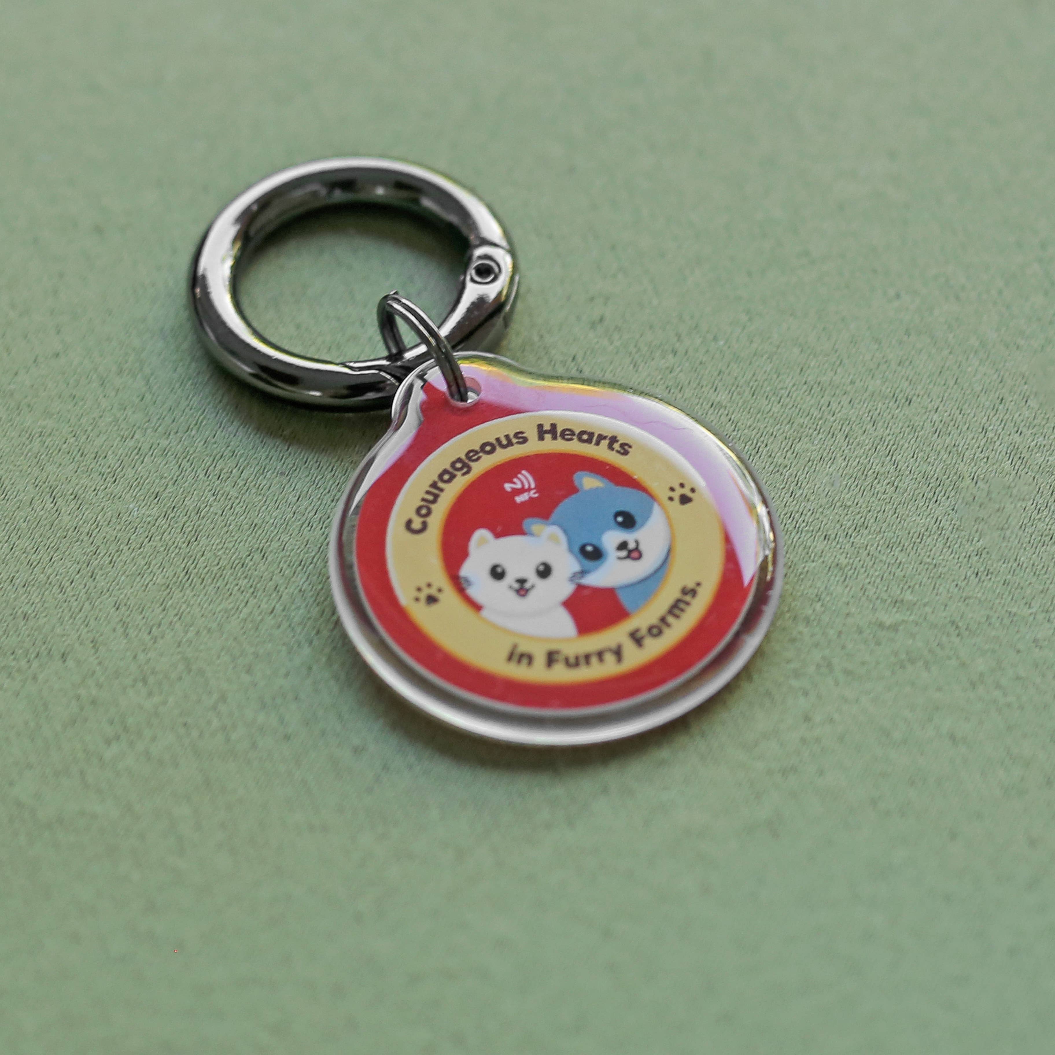 Pawnec - Wholesale Pet Identification Tag - Cat/Dog - IndieTag "Glow n Go"8