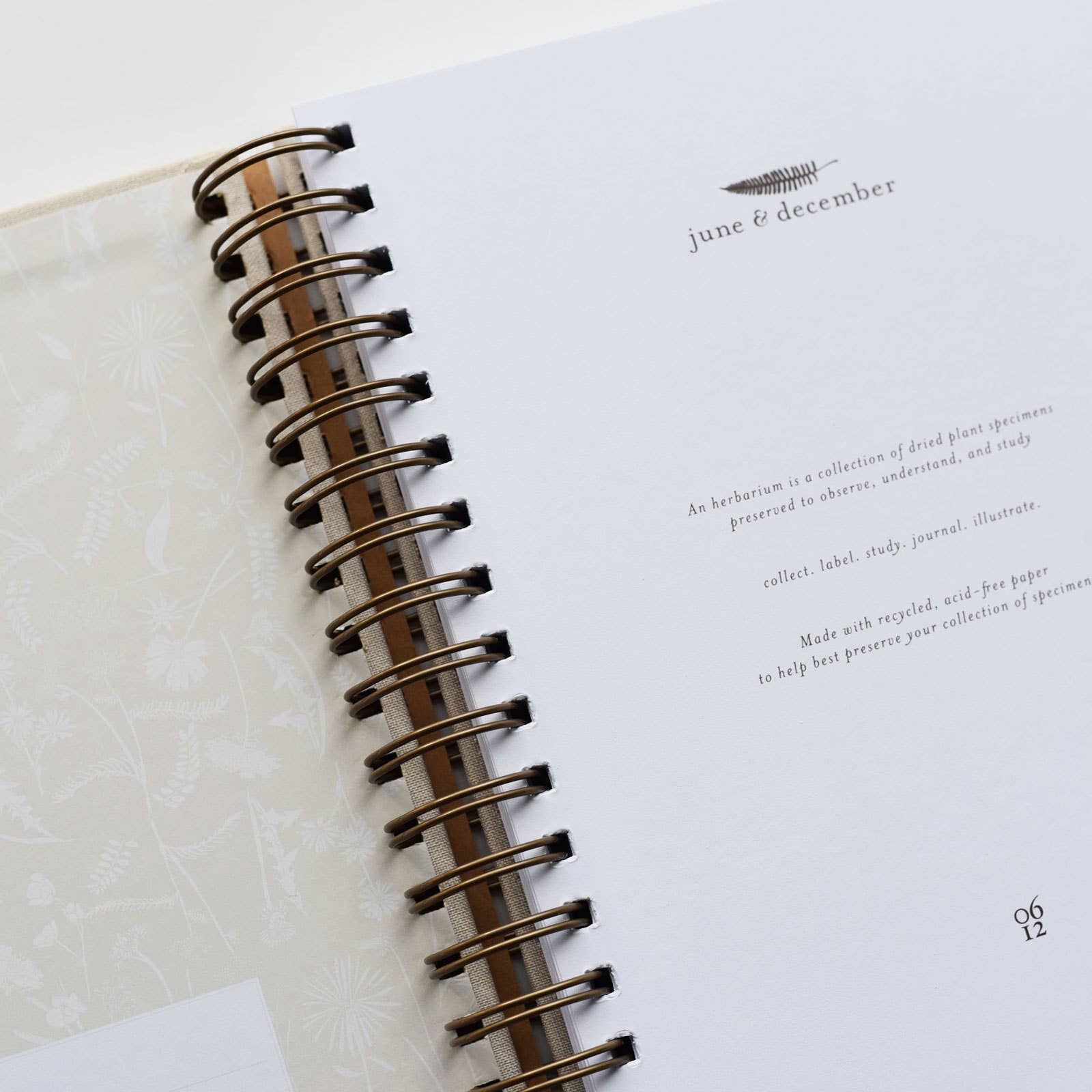 June & December - Wholesale Tuingereedschap - Dandelion Herbarium Journal / Mushroom Gill Cream3