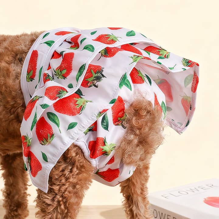 Washable Dog Period Pants – Fruit Print Diaper_CWMM7292 for wholesale by PAWPAWwholesale