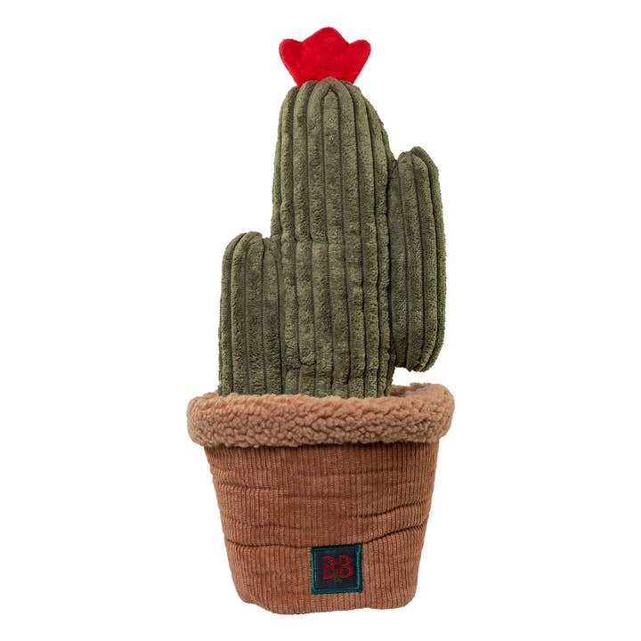 Aktivitetsleksak Pawtanic Garden - kaktus för wholesale av B&B Økologisk Hundeshampoo