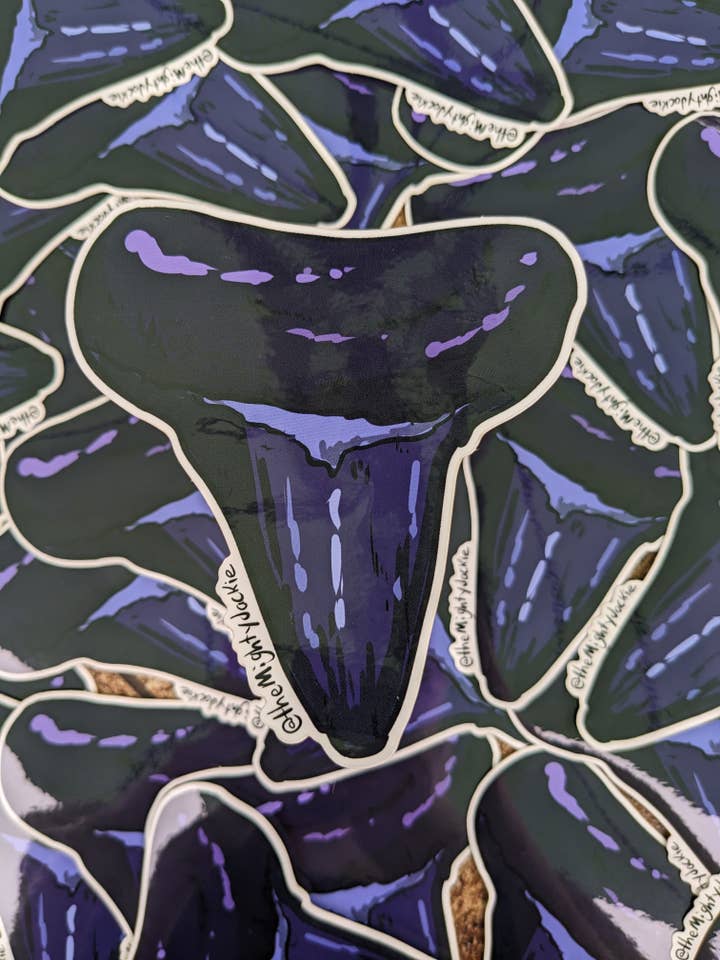Megalodon Tooth Sticker for wholesale by The Mighty Jackie