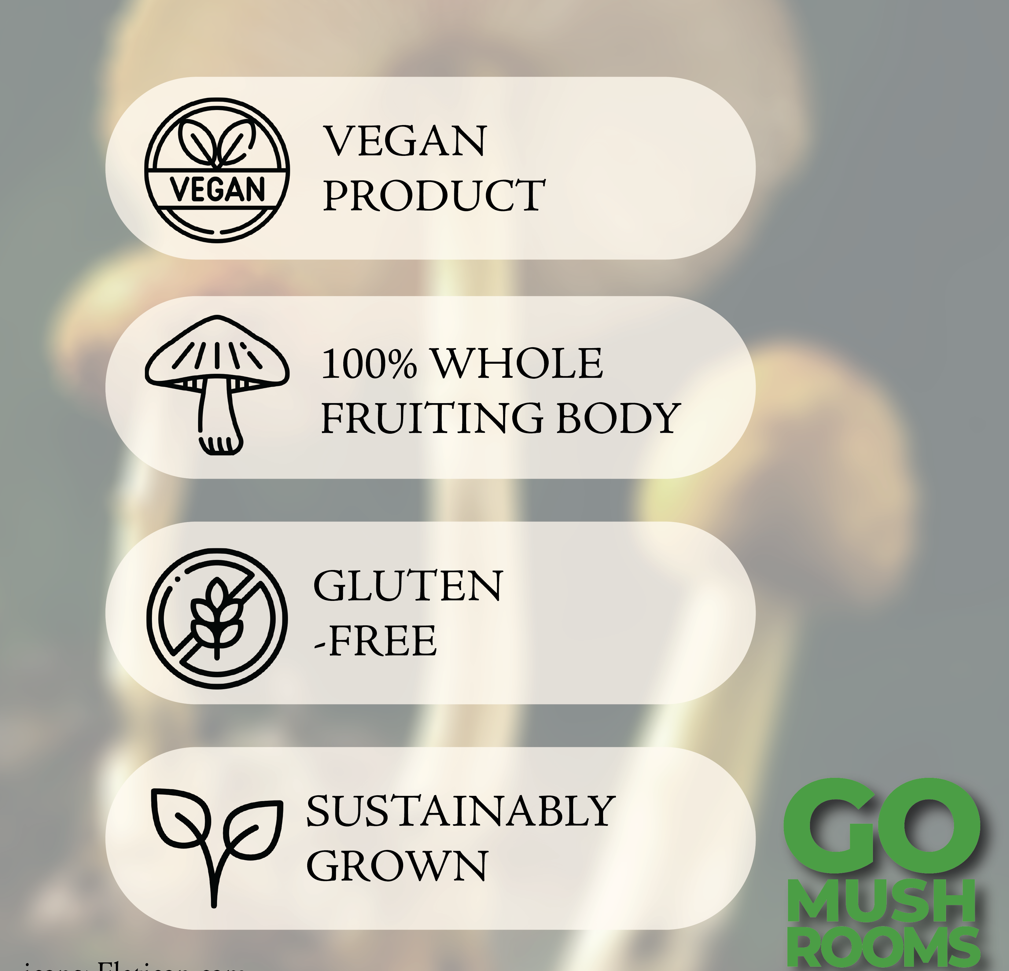 GO Mushrooms - Wholesale Tincture - CHAGA Medicinal Tincture3