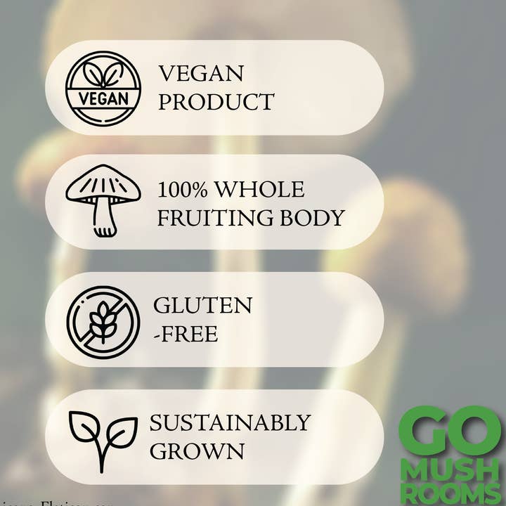 GO Mushrooms - Wholesale Tincture - Standard Tincture Pack2