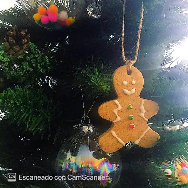 CLICK by MONICA´S BAKERY - Wholesale Cookie - GINGERBREAD AND CINNAMON DOLL COOKIES1