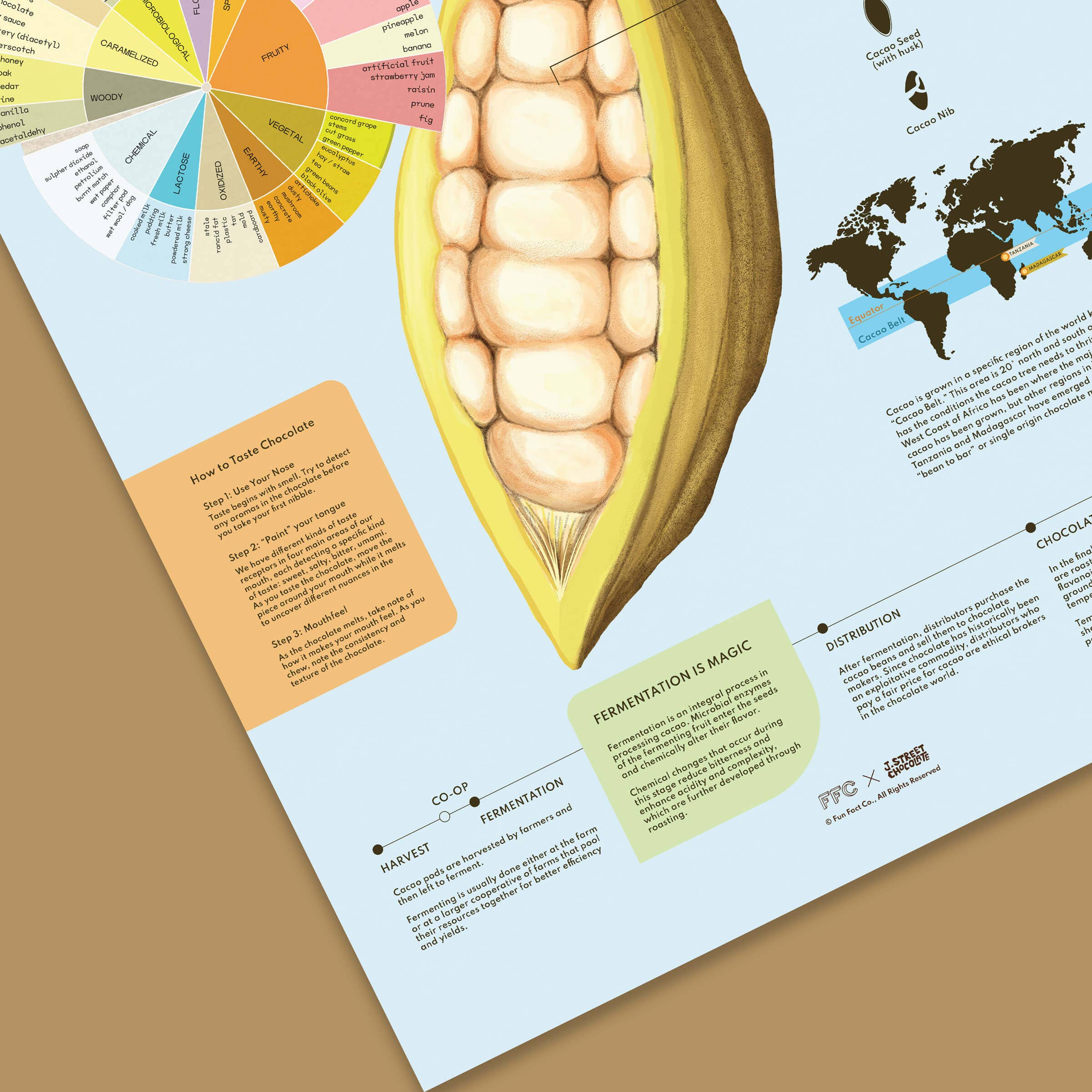 Fun Fact Co. - Wholesale Art Print - Chocolate Fun Facts Print1