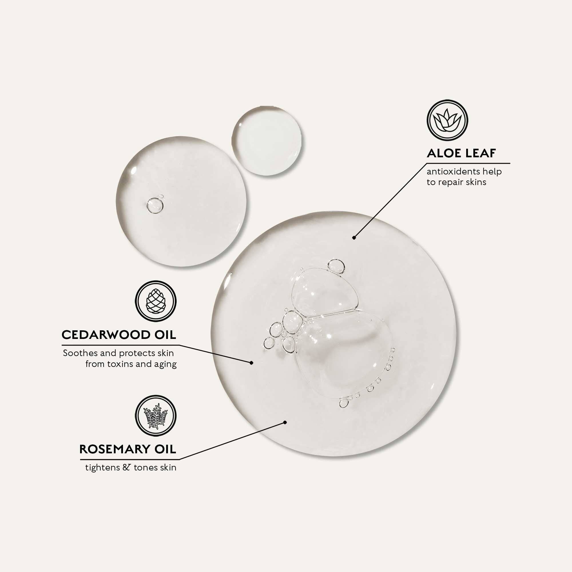 Caswell-Massey - Vente Lotions corporelles/Gels douches - Gel Douche Tout-en-Un2