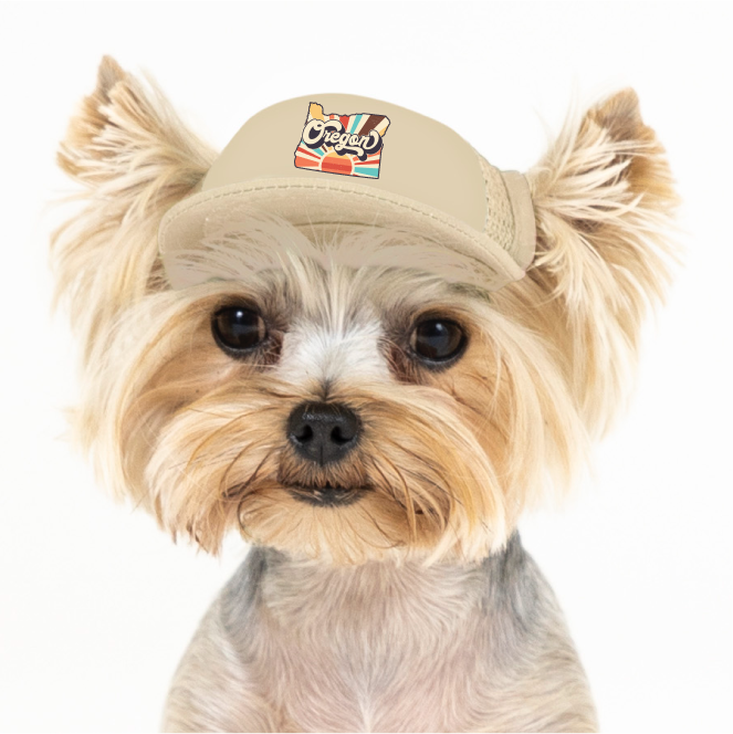 PupLid - Wholesale Pet Hat - Dog - Vintage State | Trucker Hat for Dogs1