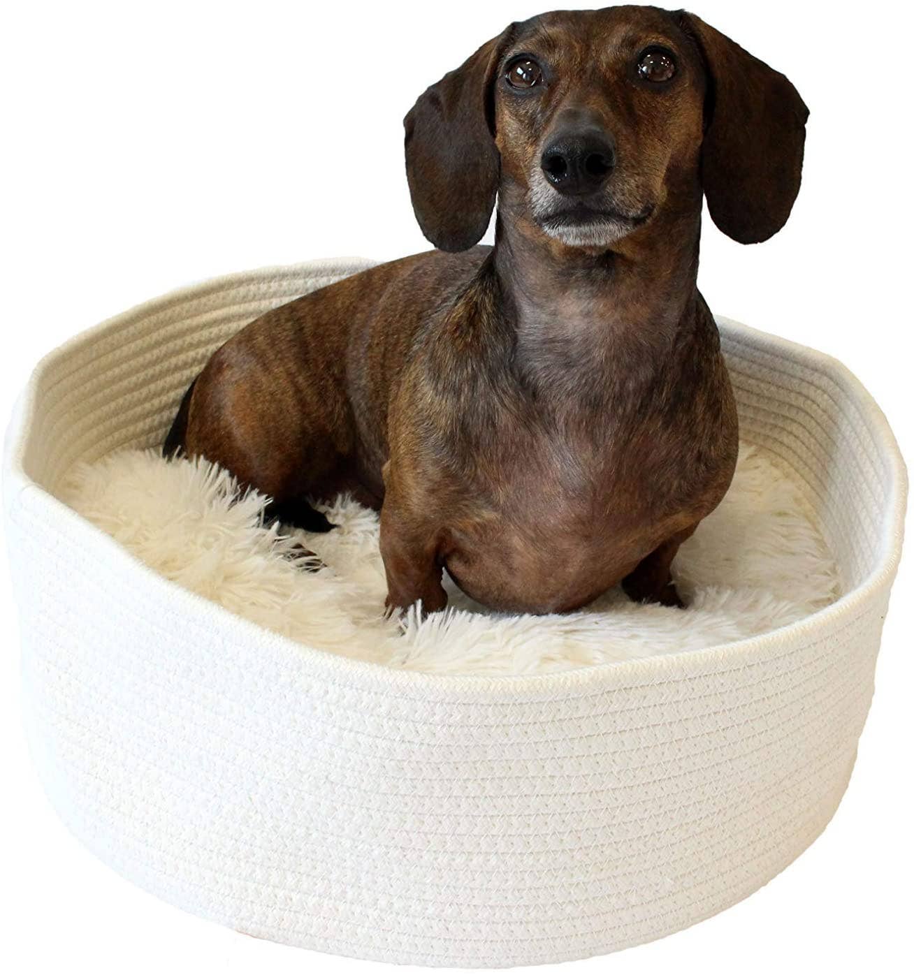 dog bed inserts wholesale