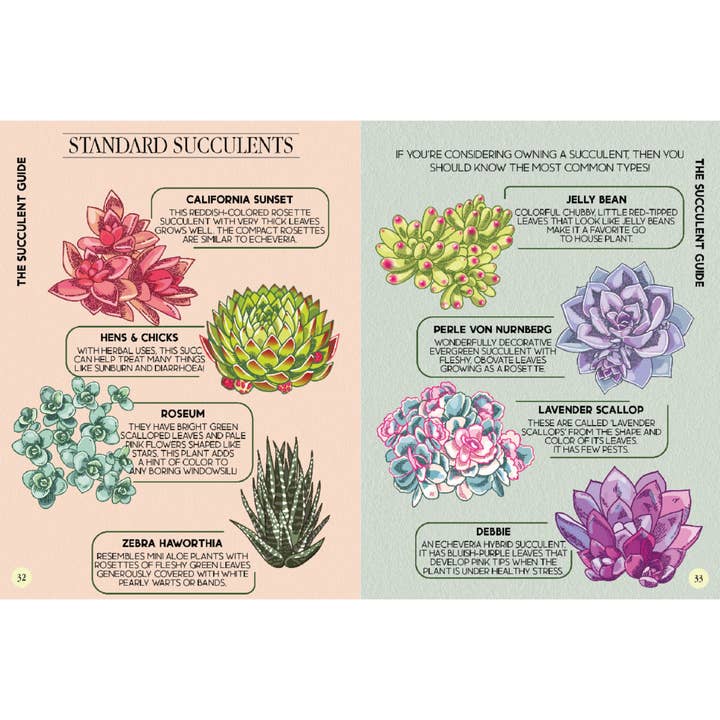 Boxer Gifts - Wholesale Home and garden - Houseplant Survival Guide Book - Plant Tips and Tricks1