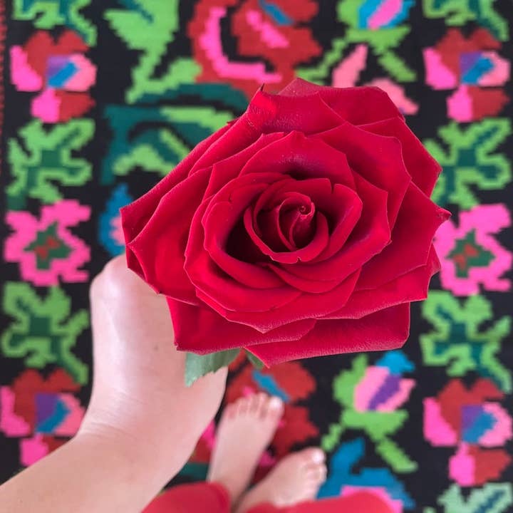 MADE WITH LOVE RO SRL – Tapete por atacado – Grande passadeira moldava com rosas, tapete floral romeno