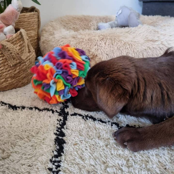 Pawcord by Franzi - Wholesale Pet Toy - Cat/Dog - Rainbow-coloured sniffing ball1