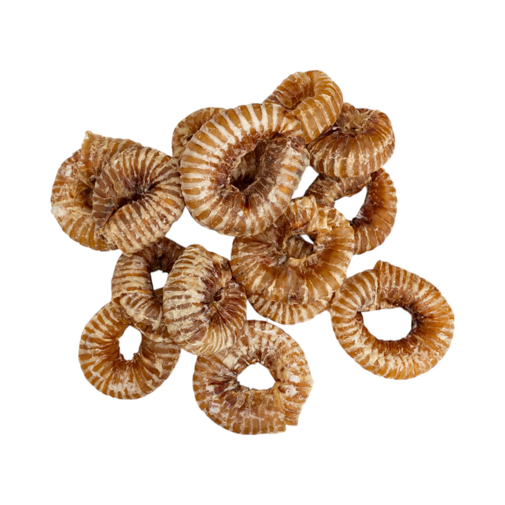 Jojo Modern Pets - Wholesale Pet Treats - Dog - 2"-4" Beef Trachea Ring All Natural Dog Treat (25/Bag)