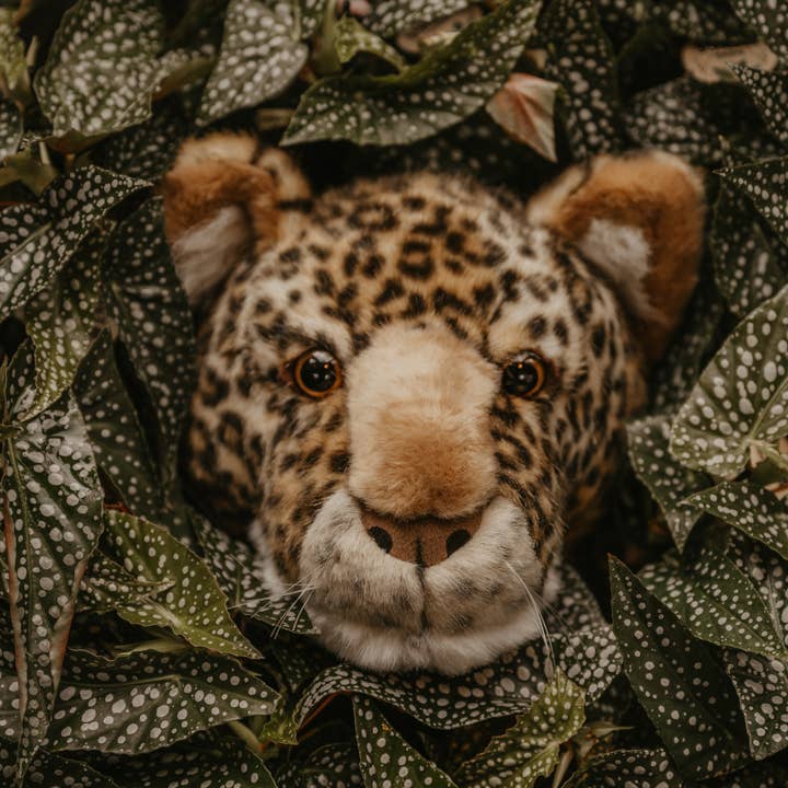 WILD & SOFT – Großhandel 3D-Wandkunst – Charlie der Leopard: Wanddekoration – Mittlerer Kopf