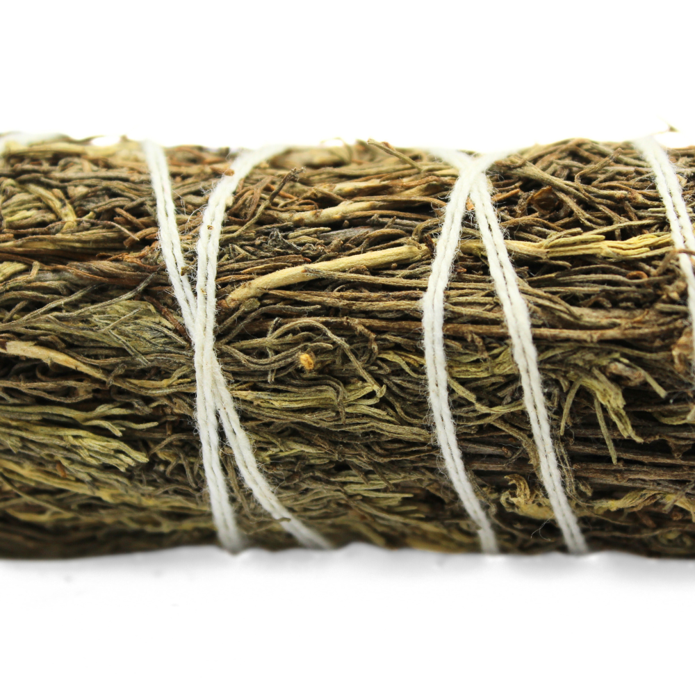 Green Tree - Wholesale Sage bundle - Desert Sage 10 Cm1