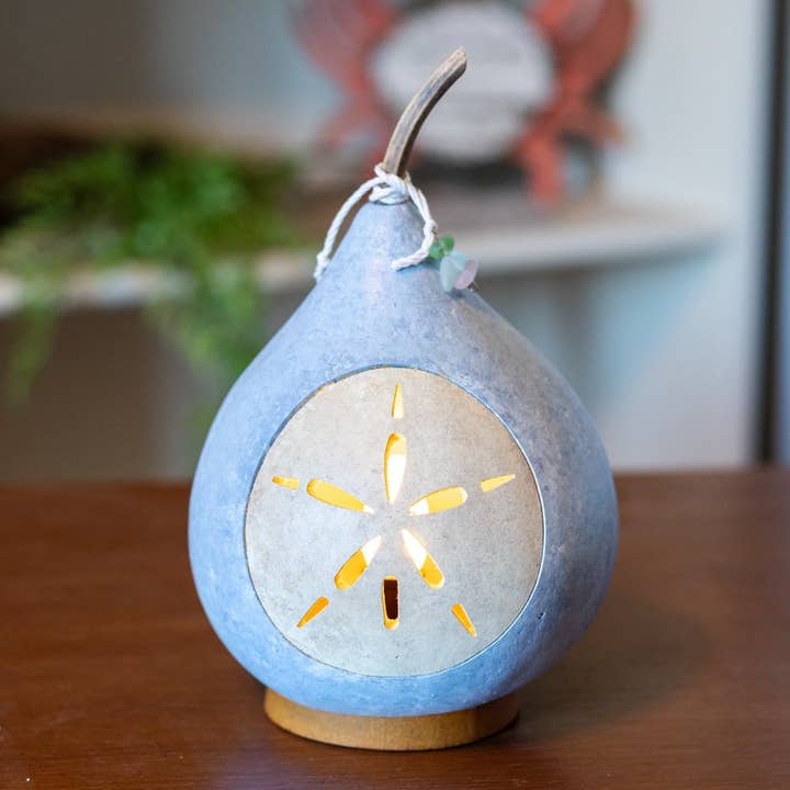 Côtier - Sable Dollar Moyen Éclairé pour la vente par Meadowbrooke Gourds