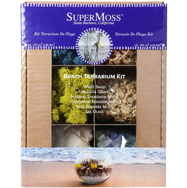 Chartreuse Strand-Terrarium-Set für den Großhandel auf Faire0