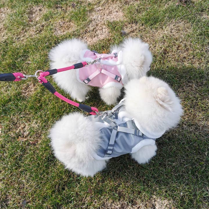 Channyfinds – wholesale Pet harness – Dog – Fashion Pet Faux Leather Harness Vest