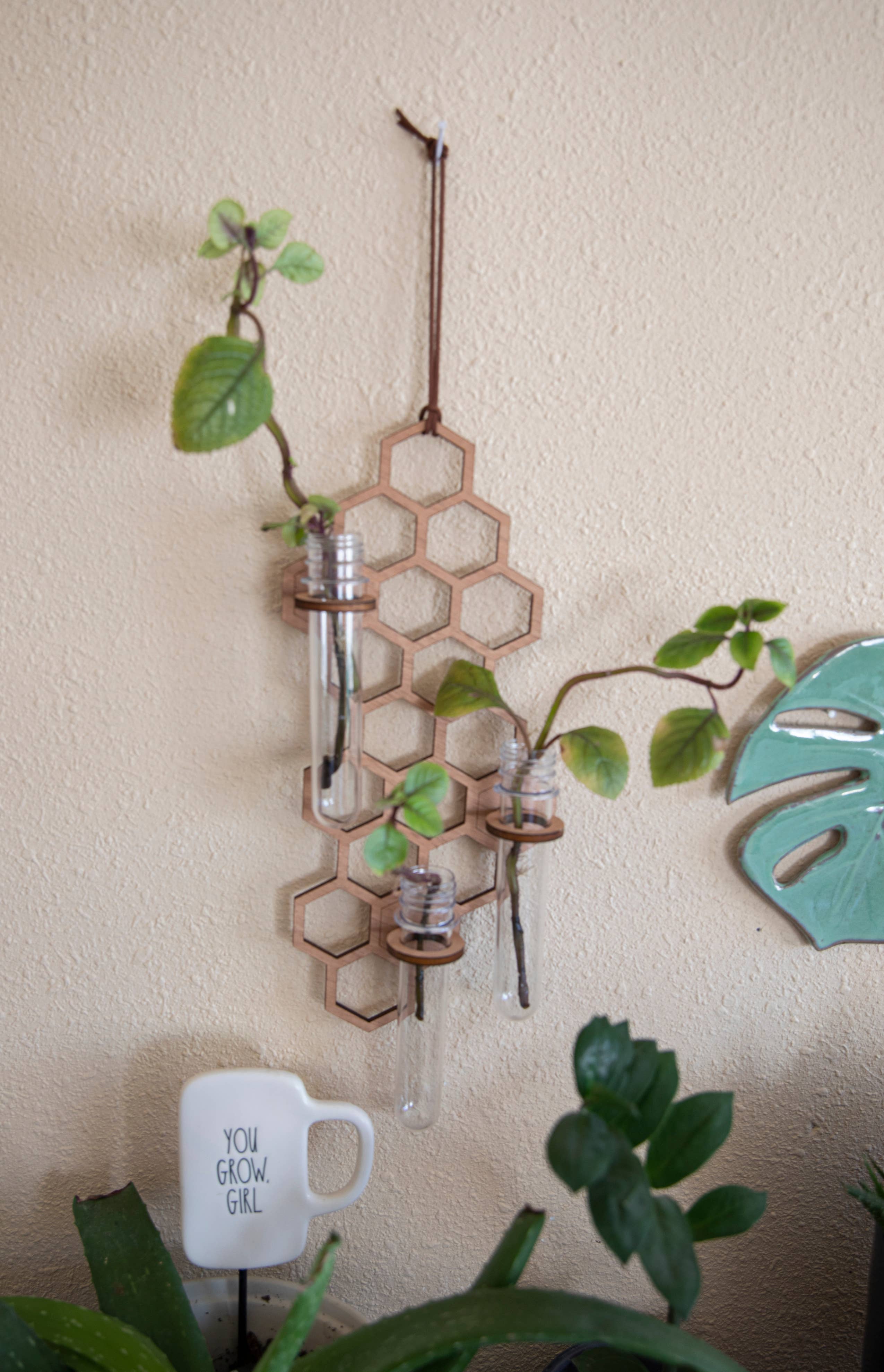 PlantsNsht - Wholesale Hanging Planter - 3 Tube Honeycomb Hanging Propagation Station3