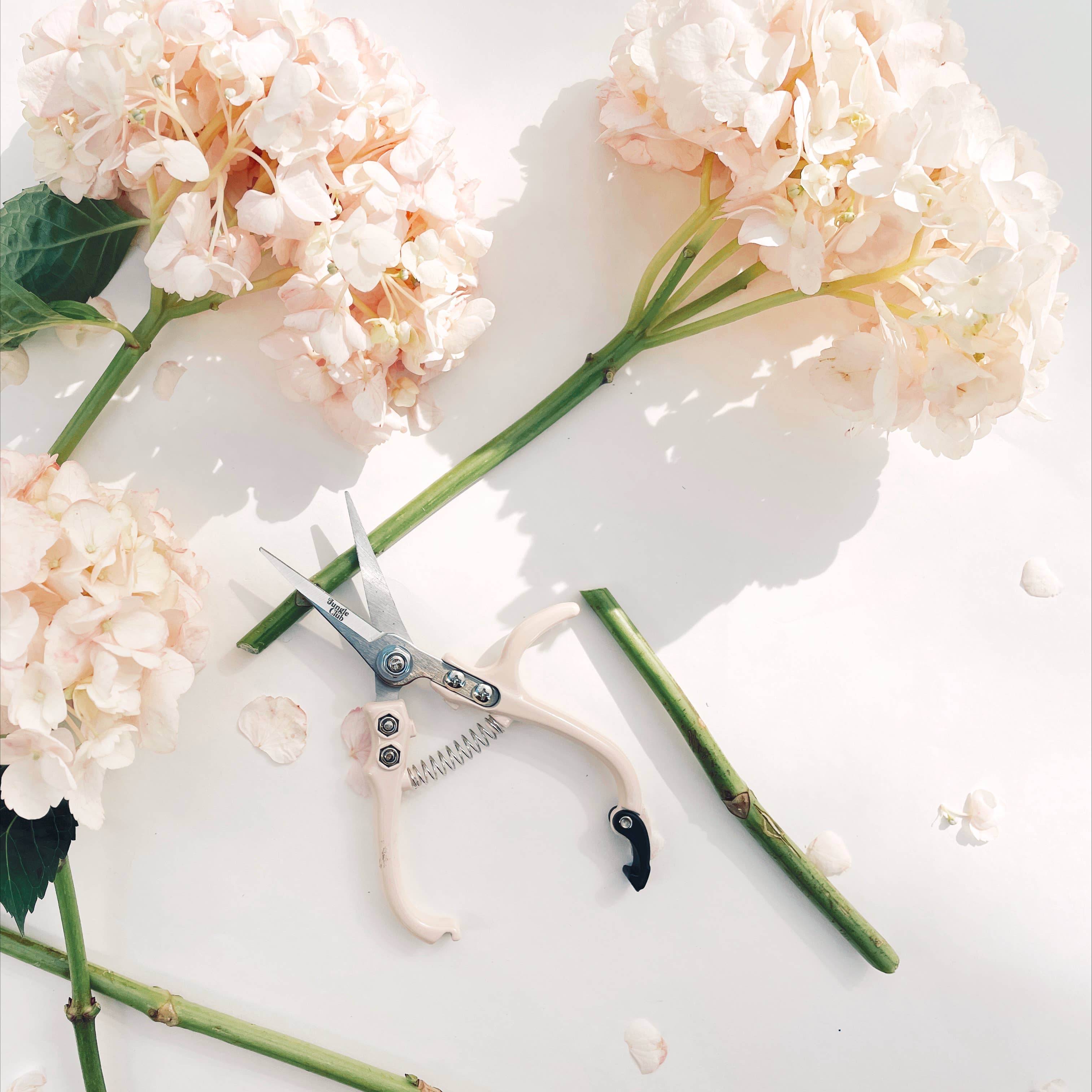 Jungle Club - Wholesale Garden Tool - Pruning Shears | Vanilla2