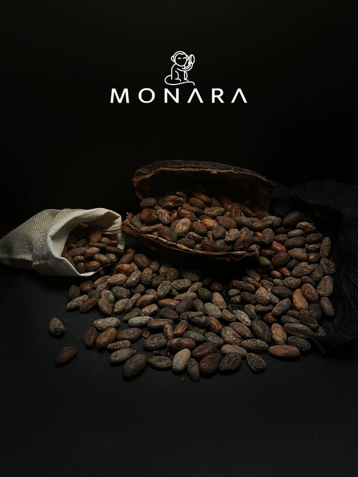 Fèves de cacao Grade 2, Origine Équateur para venta al por mayor de MONARA