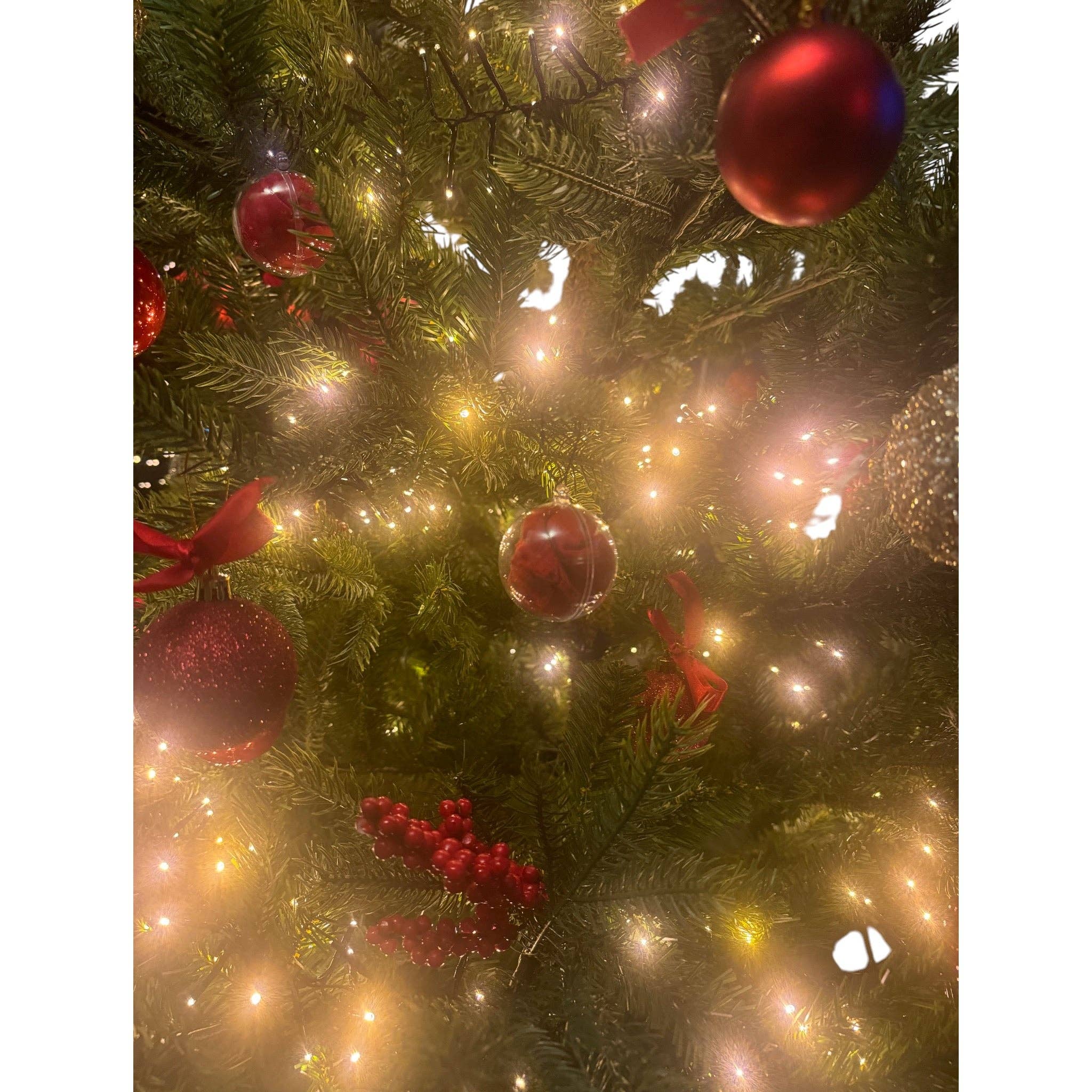 Kinky Pleasure – Großhandel Scherz-/Geschenkartikel – Kinky Pleasure - T134 - Weihnachtsbaumkugel mit rotem Slip innen5