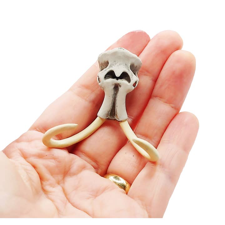 The Scale Grail - Venta al por mayor Figura decorativa - Réplica de Cráneo de Mamut Lanudo - Cráneo realista de animal extinto a escala 1:24 con colmillos para diorama, escenas en miniatura, casa de muñecas (1 cráneo)4