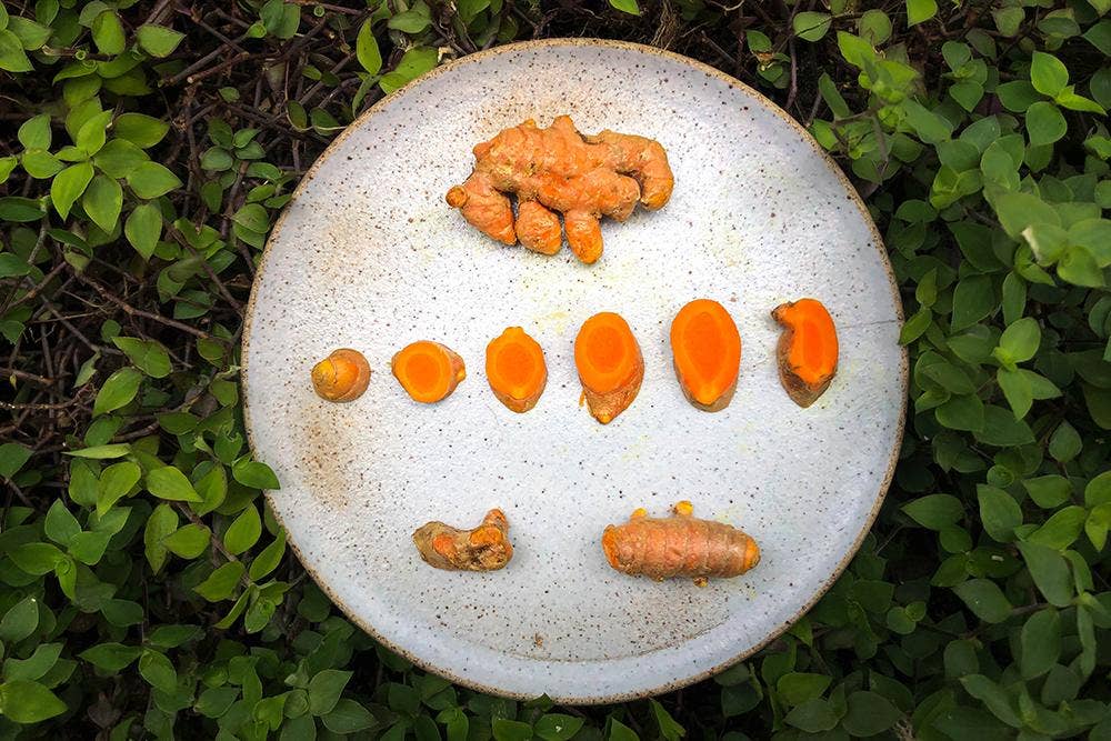 Rooster farms - Wholesale Plant Seeds - 1 Pound Hawaiian certified organic Turmeric Raw Roots Natural Organically Grown0