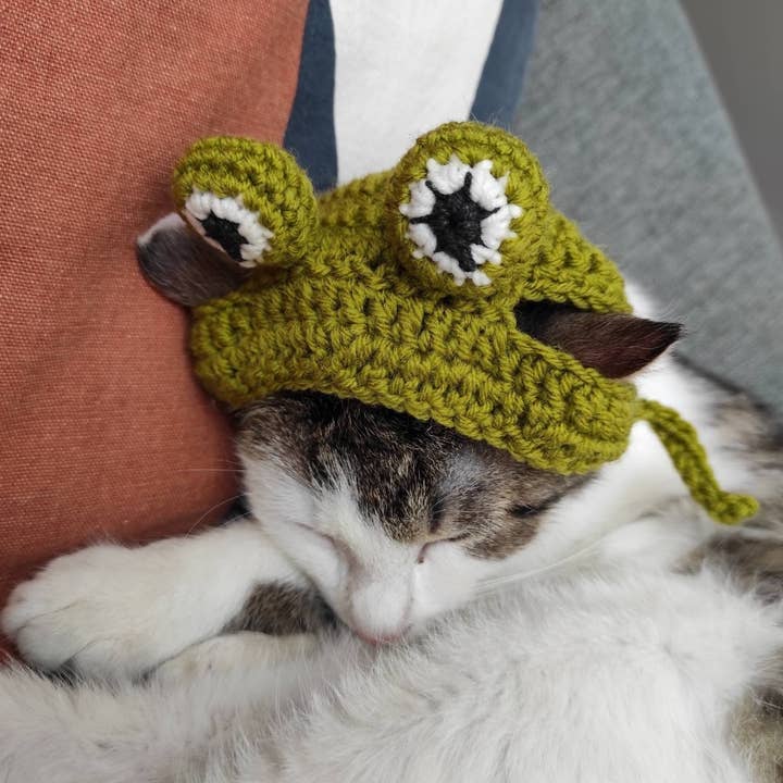 Chapeau chat grenouille crochet costume de chat Halloween cadeau amoureux des chats pour la vente par FairyBabyGifts